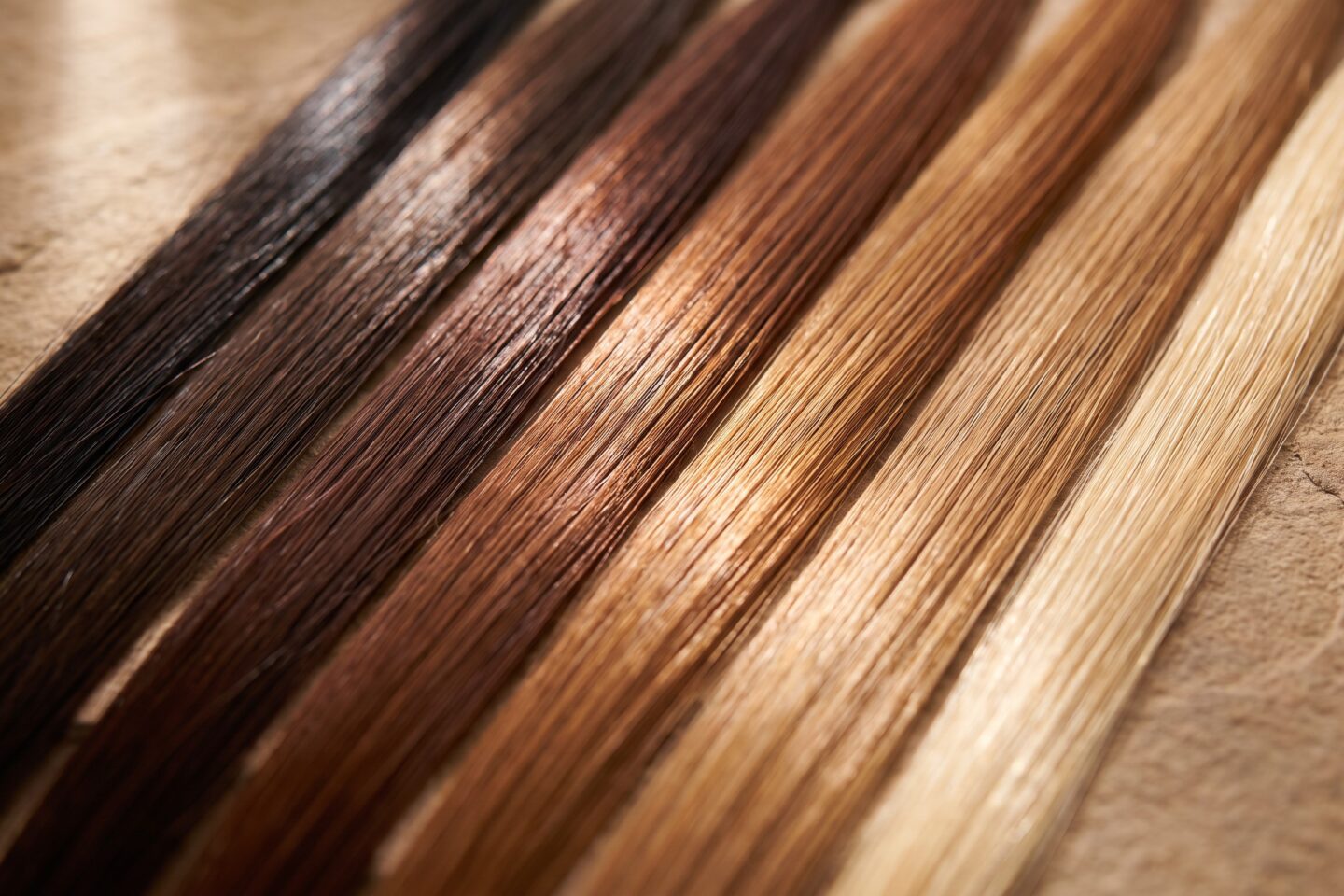 Seven ribbons of human hair laid in a tonal gradient from espresso through bronze to golden blonde